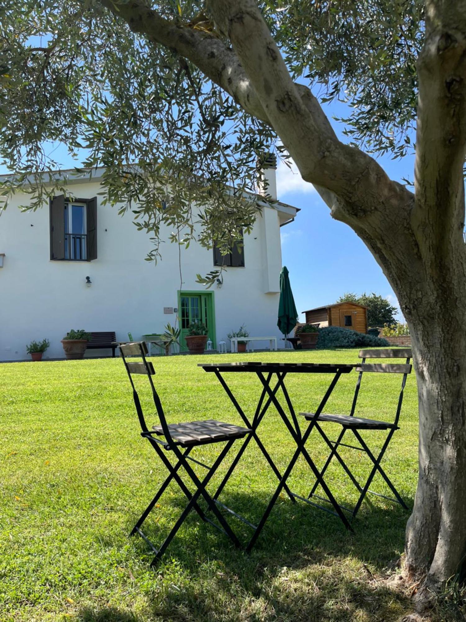 Bed And Breakfast Country Cottage Civitavecchia Bagian luar foto